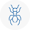 Ant Removals In Cullompton