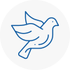 Bird Prevention Cullompton
