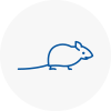 Mice Exterminators In Cullompton
