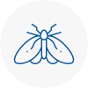 Moth Control Specialists In Cullompton