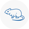 Rat Control Cullompton