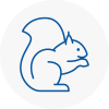 Cullompton Rodent Removals